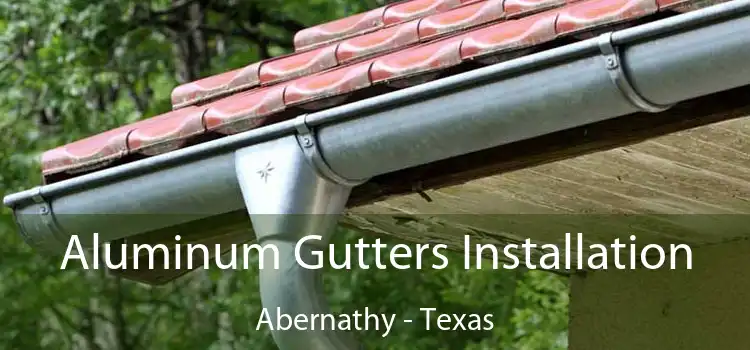 Aluminum Gutters Installation Abernathy - Texas