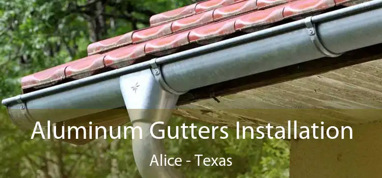 Aluminum Gutters Installation Alice - Texas