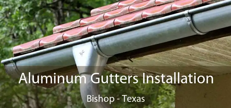 Aluminum Gutters Installation Bishop - Texas
