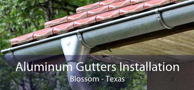 Aluminum Gutters Installation Blossom - Texas