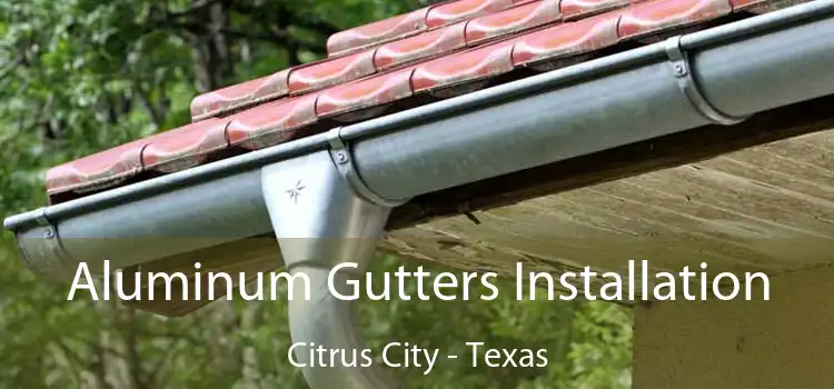 Aluminum Gutters Installation Citrus City - Texas