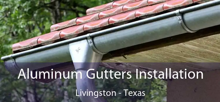 Aluminum Gutters Installation Livingston - Texas