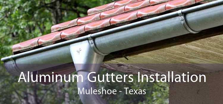 Aluminum Gutters Installation Muleshoe - Texas