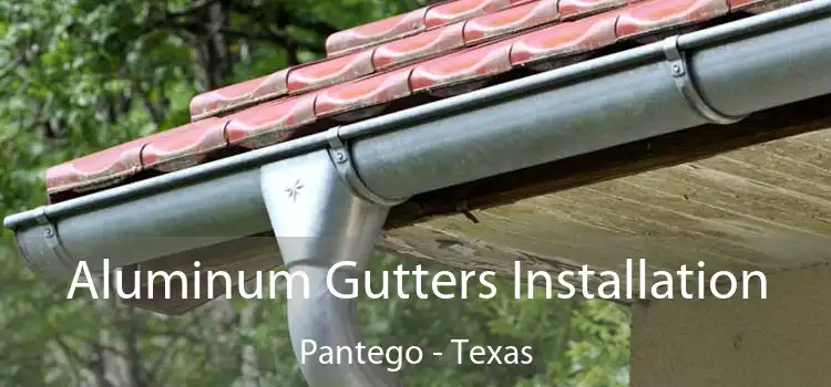 Aluminum Gutters Installation Pantego - Texas