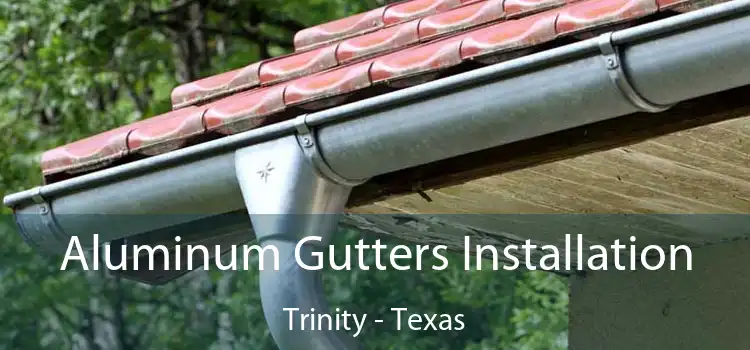 Aluminum Gutters Installation Trinity - Texas