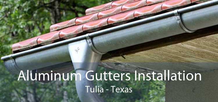 Aluminum Gutters Installation Tulia - Texas