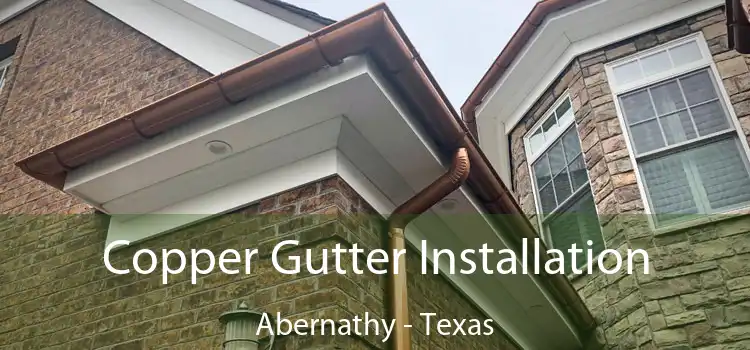 Copper Gutter Installation Abernathy - Texas