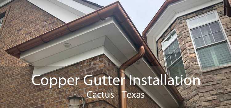 Copper Gutter Installation Cactus - Texas