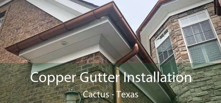 Copper Gutter Installation Cactus - Texas