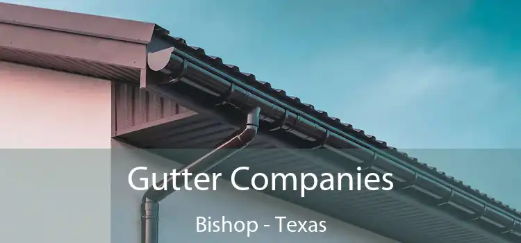 Gutter Companies Bishop - Texas