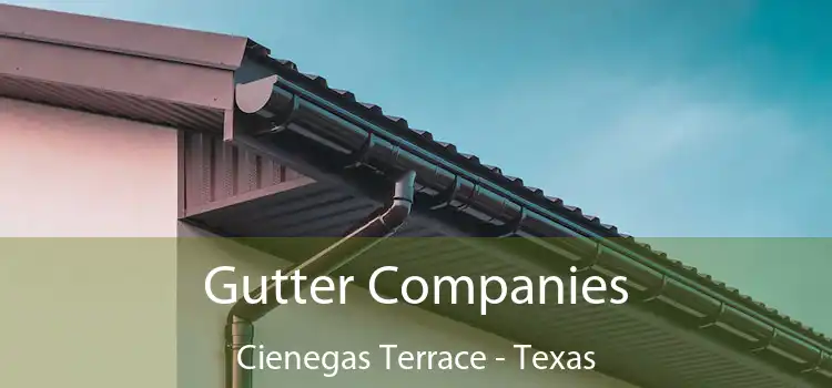 Gutter Companies Cienegas Terrace - Texas