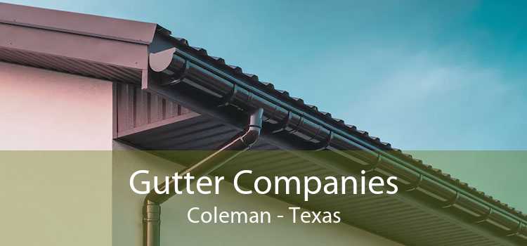 Gutter Companies Coleman - Texas