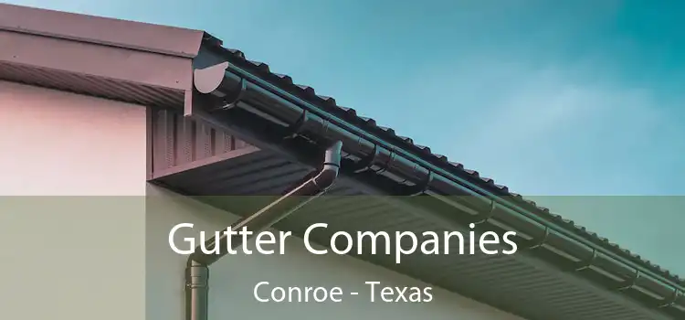 Gutter Companies Conroe - Texas
