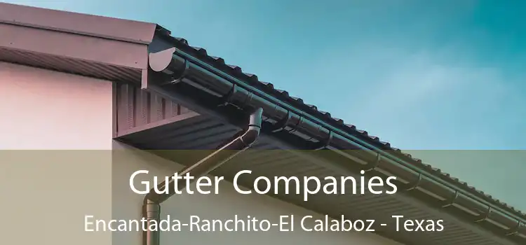 Gutter Companies Encantada-Ranchito-El Calaboz - Texas