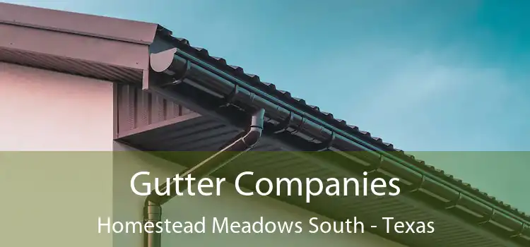 Gutter Companies Homestead Meadows South - Texas