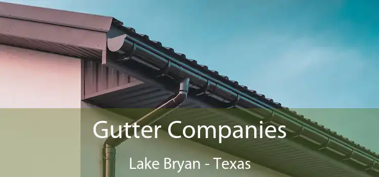 Gutter Companies Lake Bryan - Texas