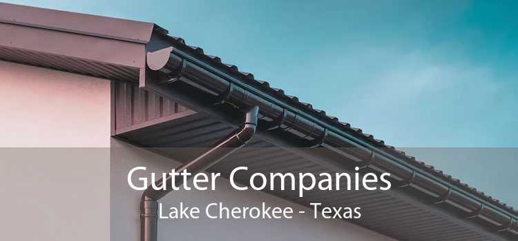 Gutter Companies Lake Cherokee - Texas