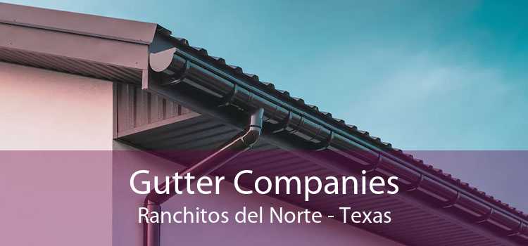 Gutter Companies Ranchitos del Norte - Texas