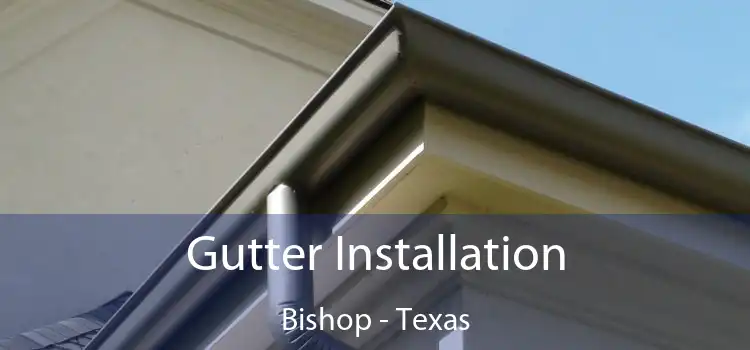 Gutter Installation Bishop - Texas