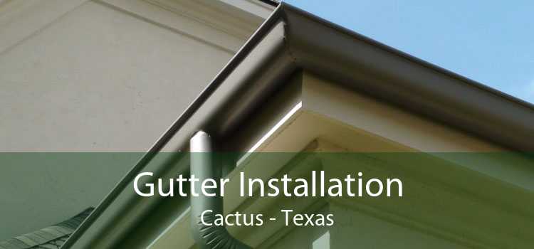 Gutter Installation Cactus - Texas