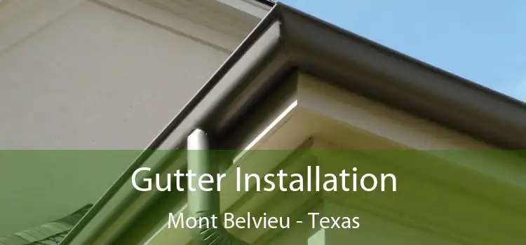 Gutter Installation Mont Belvieu - Texas