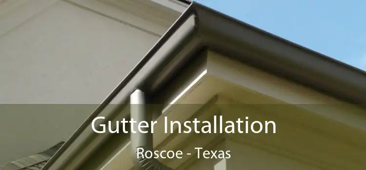 Gutter Installation Roscoe - Texas