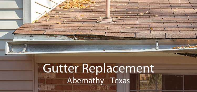 Gutter Replacement Abernathy - Texas