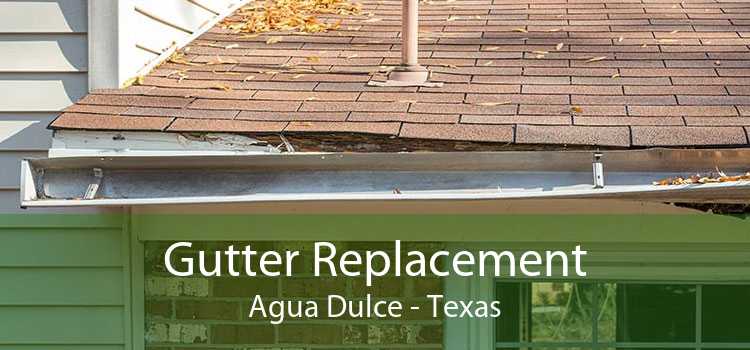 Gutter Replacement Agua Dulce - Texas