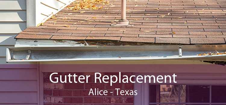 Gutter Replacement Alice - Texas