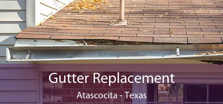 Gutter Replacement Atascocita - Texas