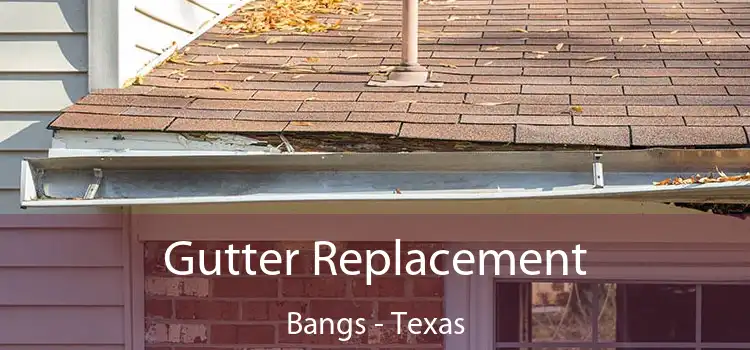 Gutter Replacement Bangs - Texas
