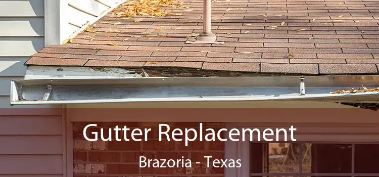 Gutter Replacement Brazoria - Texas