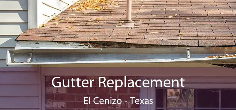 Gutter Replacement El Cenizo - Texas