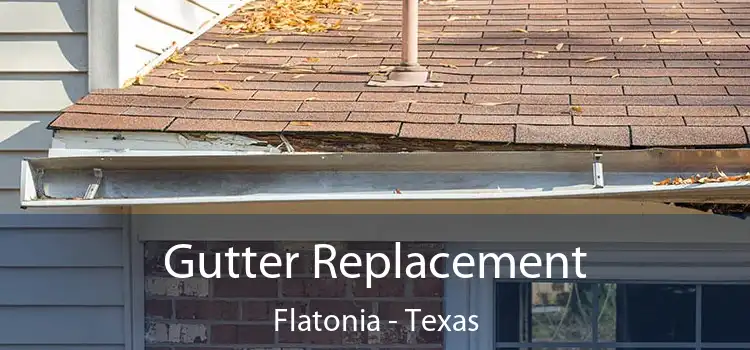 Gutter Replacement Flatonia - Texas