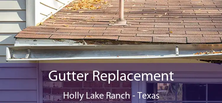 Gutter Replacement Holly Lake Ranch - Texas