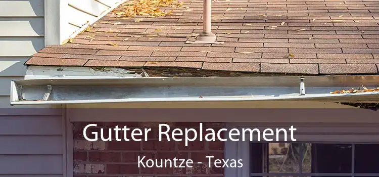 Gutter Replacement Kountze - Texas