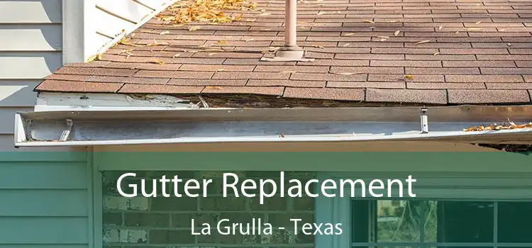 Gutter Replacement La Grulla - Texas