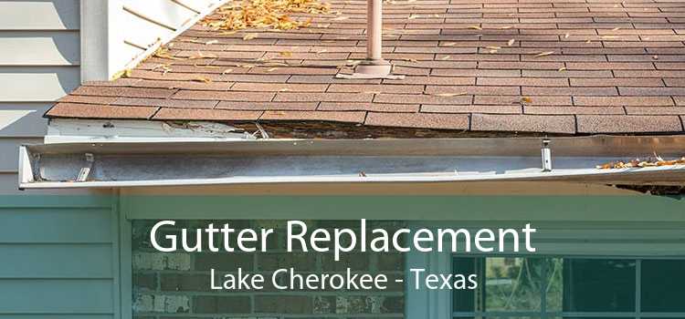 Gutter Replacement Lake Cherokee - Texas