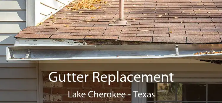 Gutter Replacement Lake Cherokee - Texas