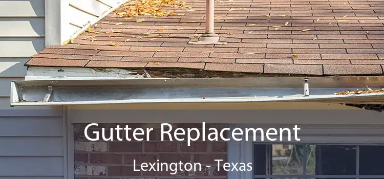 Gutter Replacement Lexington - Texas