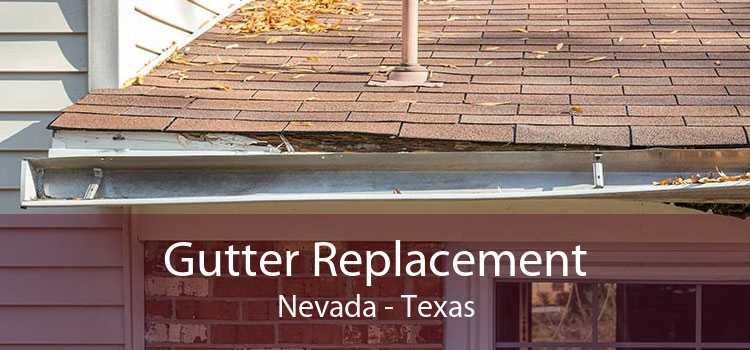 Gutter Replacement Nevada - Texas