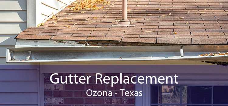 Gutter Replacement Ozona - Texas