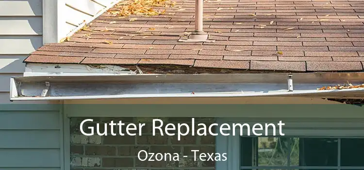 Gutter Replacement Ozona - Texas