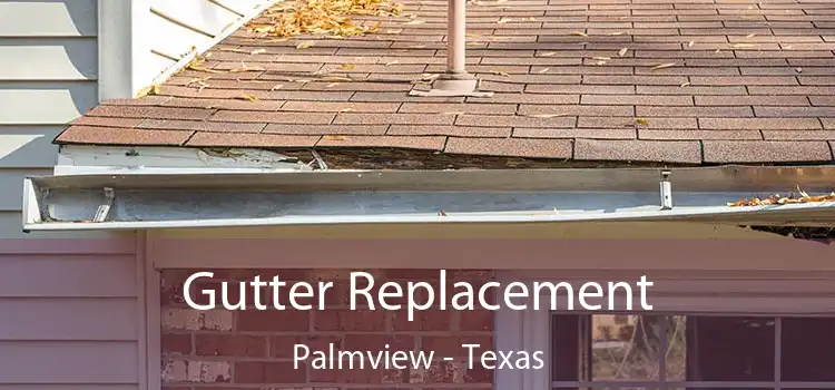 Gutter Replacement Palmview - Texas