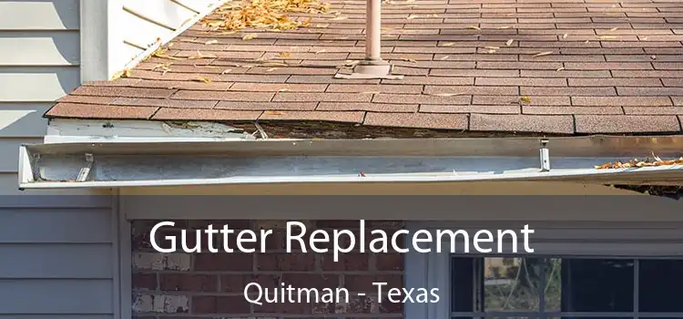 Gutter Replacement Quitman - Texas