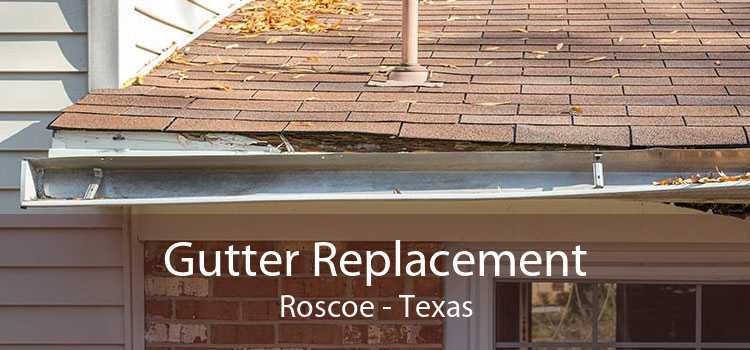 Gutter Replacement Roscoe - Texas