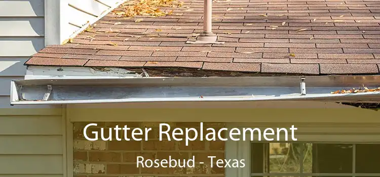 Gutter Replacement Rosebud - Texas