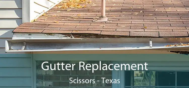 Gutter Replacement Scissors - Texas