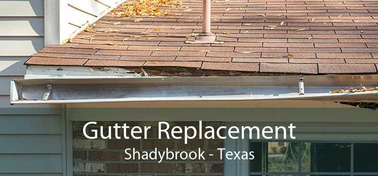 Gutter Replacement Shadybrook - Texas