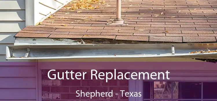 Gutter Replacement Shepherd - Texas